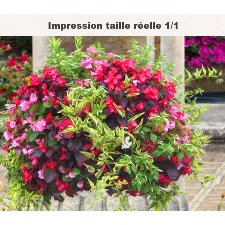 Paysage classique trompe l'oeil 3D - Le jardin suspendu