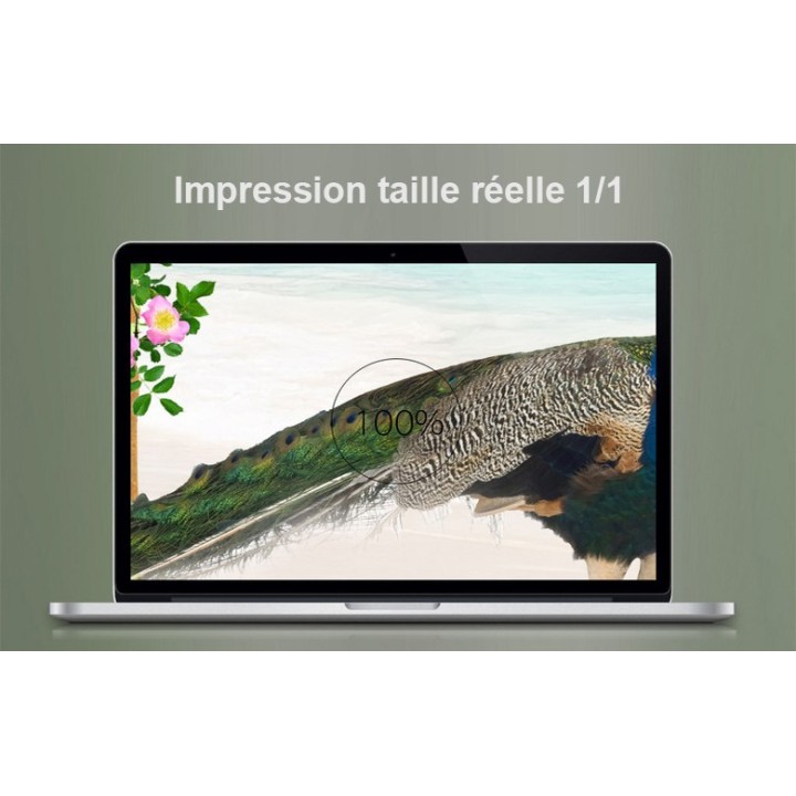 Paysage trompe l'œil 3D format portrait (vertical) - Les paons dans le jardin tropical au bord de la mer