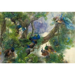 tapisserie asiatique papier peint personnalisé paon peacock