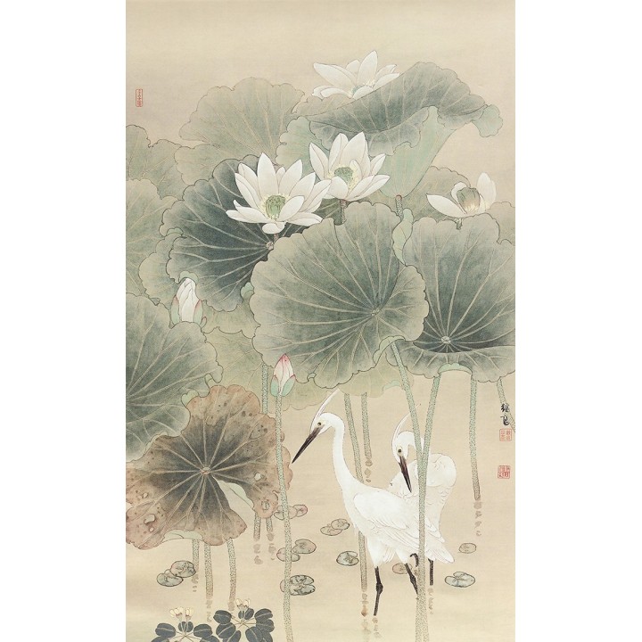 Peinture chinoise ancienne - Les aigrettes avec les lotus blancs