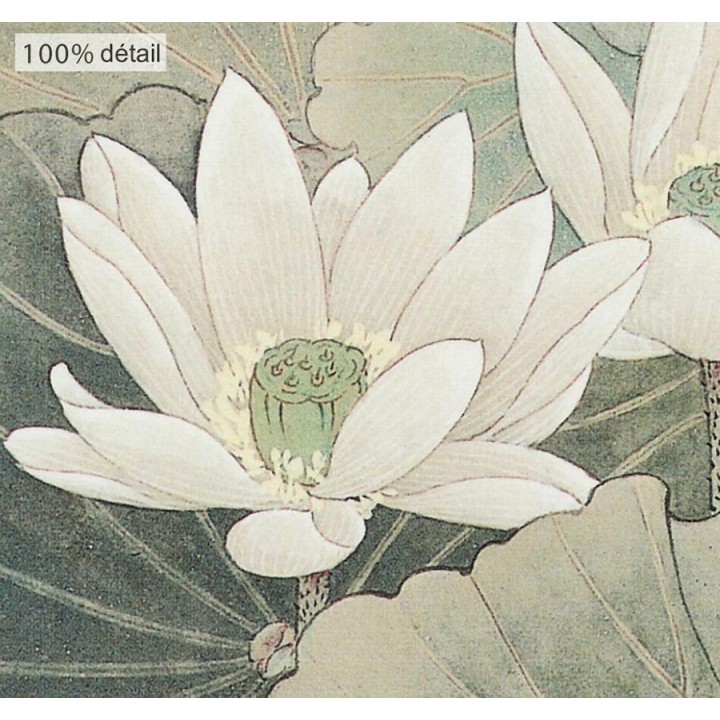 Peinture chinoise ancienne - Les aigrettes avec les lotus blancs