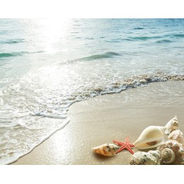 Revêtement de sol trompe l'oeil 3D plage - Les coquillages au coucher du soleil