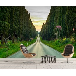 Papier peint photo paysage trompe l'œil 3D - Route traverse la forêt de conifère
