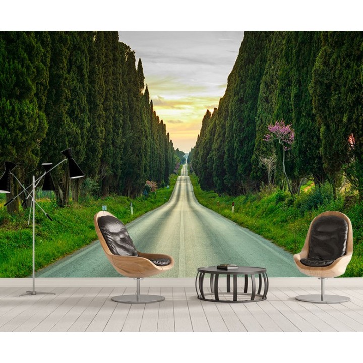 Papier peint photo paysage trompe l'œil 3D - Route traverse la forêt de conifère