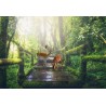 Papier peint photo paysage trompe l'œil 3D - Les cerfs sika dans la forêt après la pluie - Extension d'espace