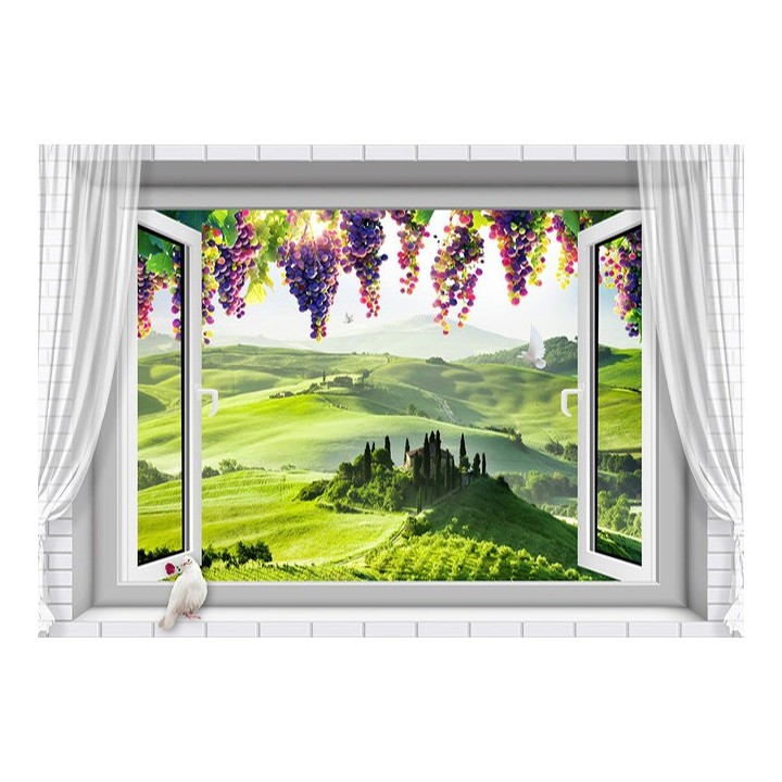 Papier peint photo paysage trompe l'œil 3D - Le champ de vigne et les grappes de raisin devant la fenêtre