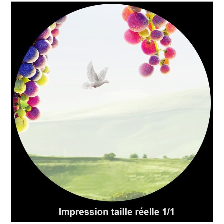 Papier peint photo paysage trompe l'œil 3D - Le champ de vigne et les grappes de raisin devant la fenêtre