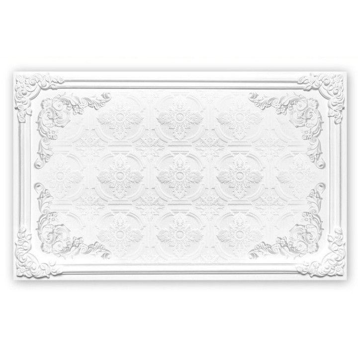 Décor plafond imitation motif sur plâtre blanc, effet en bas relief
