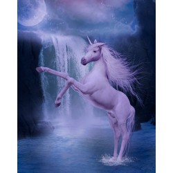 Papier peint fantaisie-Cheval unicorne dans la nuit 2