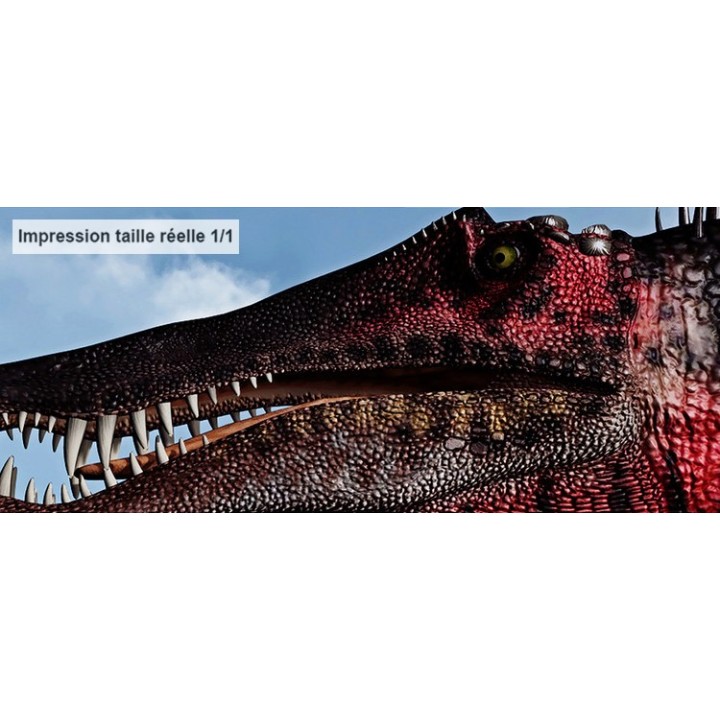 décoration murale personnalisé papier peint photo panoramique xxl dinosaure