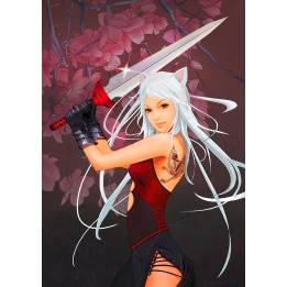 papier peint antaisie personnalisable Fille et sabre