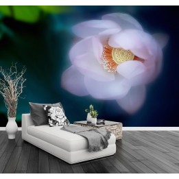 Papier peint photo zen - Lotus rose pale dans la brume