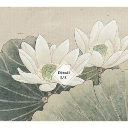Peinture à l'encre de Chine couleur légère - Lotus blancs et aigrettes dans la nuit
