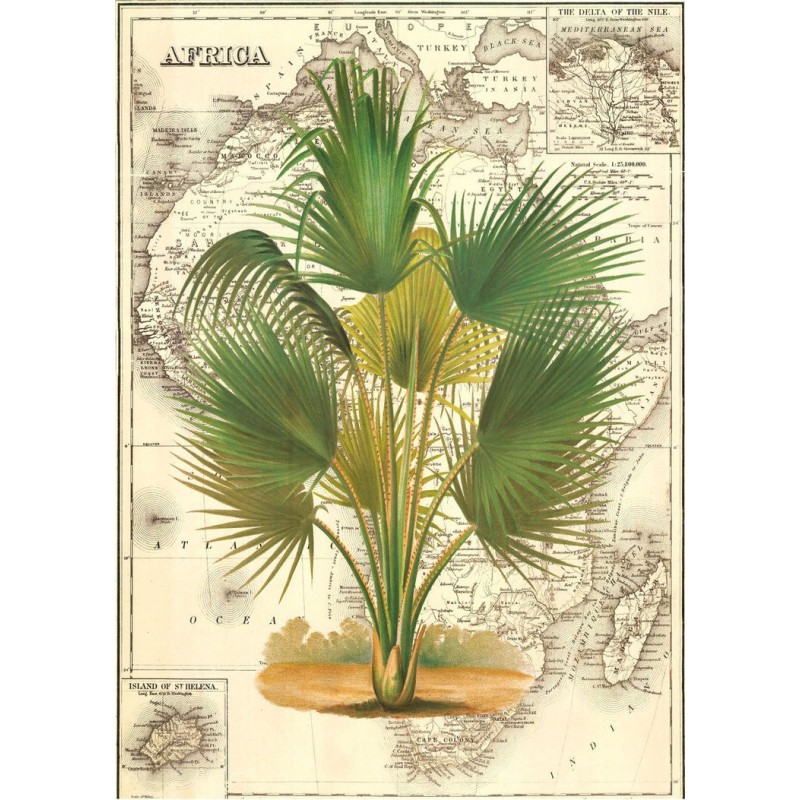 Palmier sur une vieille carte d'Africque effet sépia