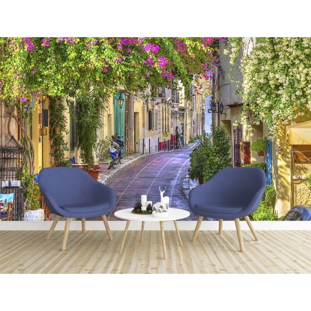 Paysage trompe l'œil 3D extension d'espace - Végétation et fleur dans la ruelle provençale
