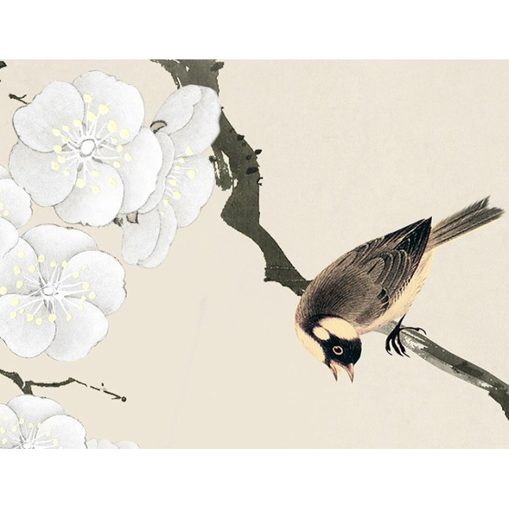 Fleurs blanches de l'abricotier du Japon et oiseaux sur fond beige, couleurs légères