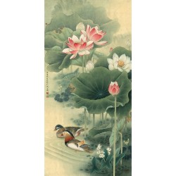 Coupe de canard mandarin dans l'étang avec les lotus