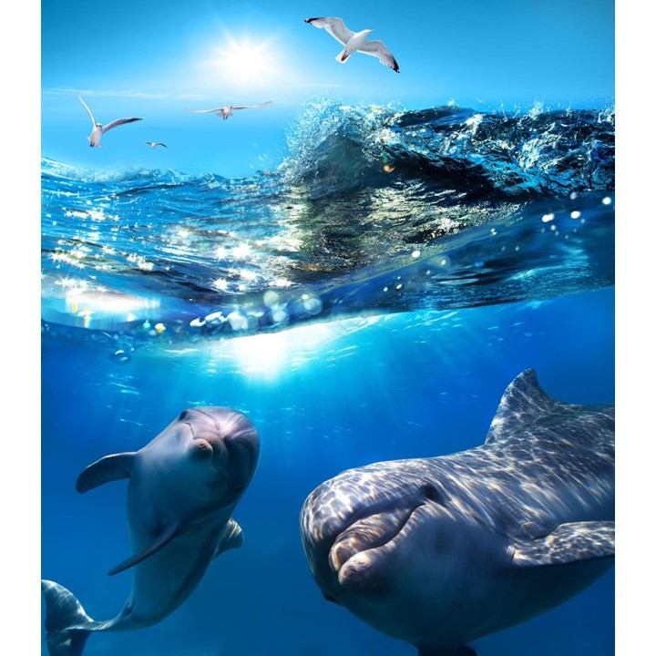 Panneau 3D étanche photo imprimée HD habillage cabine de douche - Les dauphins dans l'océan