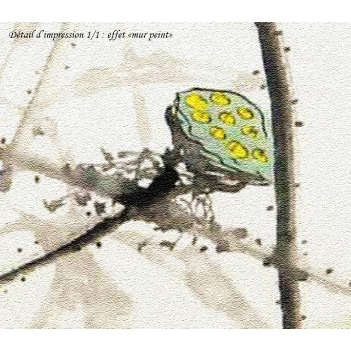 Panneau chinoiserie fleur zen - Lotus et palillon en effet bas relief sur mur peint traditionnel
