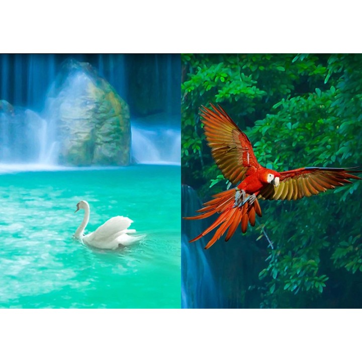 Habillage étanche PVC imprimé photoréaliste effet 3D - Cascade dans la forêt avec perroquet, décoration parois de douche