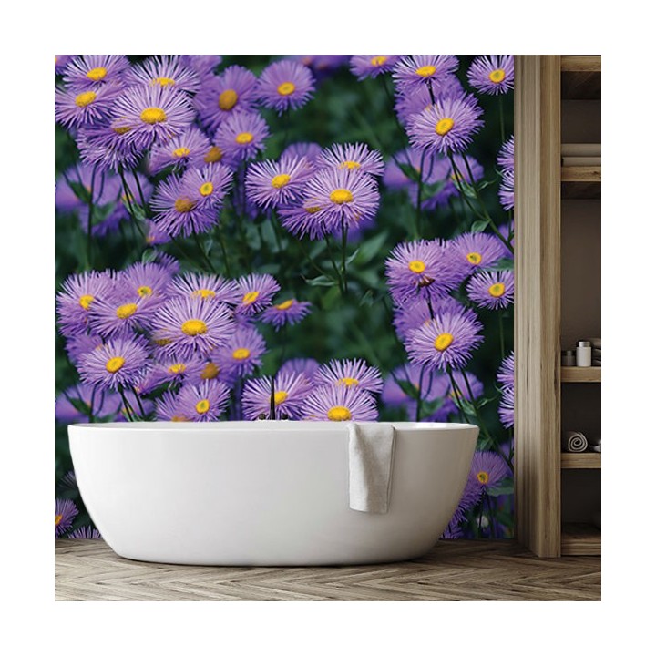 Crédence salle de bain PVC imprimé fleur sauvage - Marguerite violette