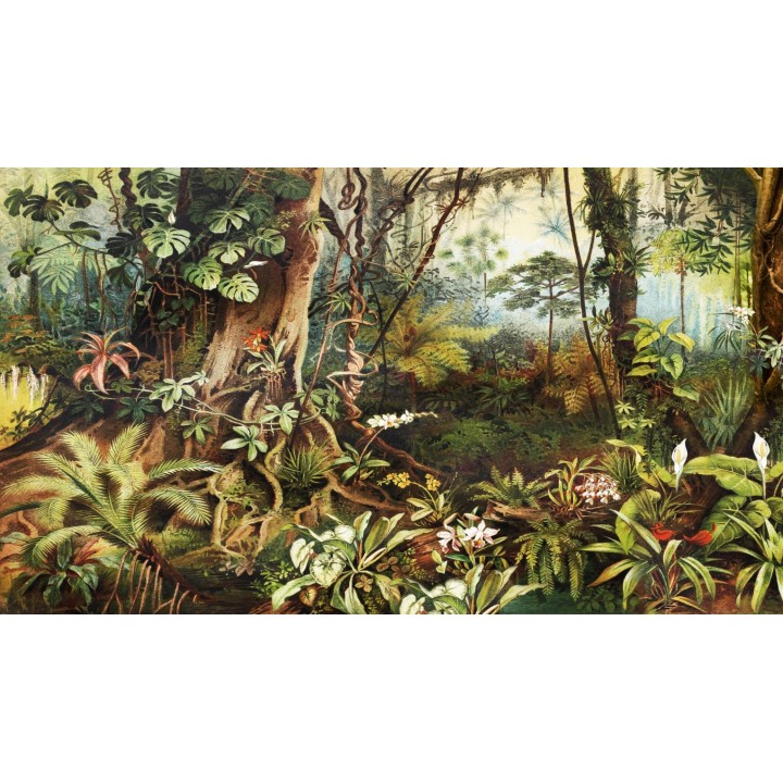 Sous bois dans la jungle avec panthère et perroquets