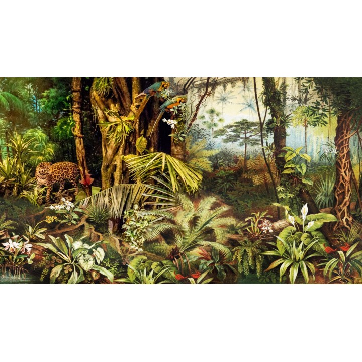 Sous bois dans la jungle avec panthère et perroquets