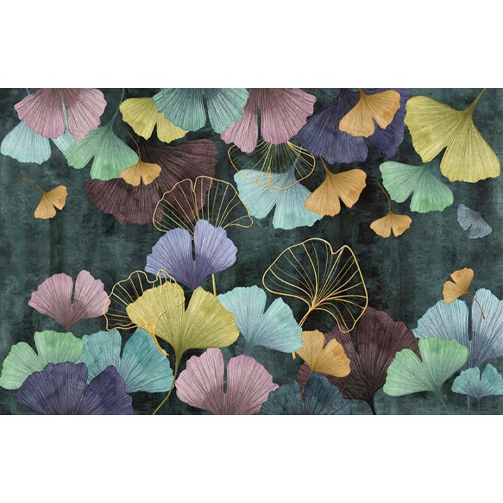 Feuilles multicolores de l'abricotier d'argent sur fond vert foncé