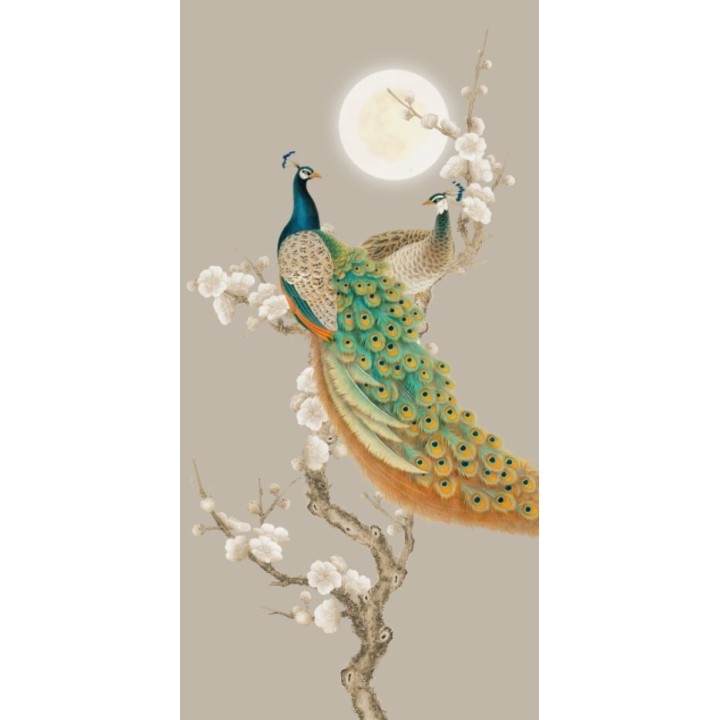 Couple de paon vert sur l'arbre de mei dans la nuit en pleine lune, fond beige