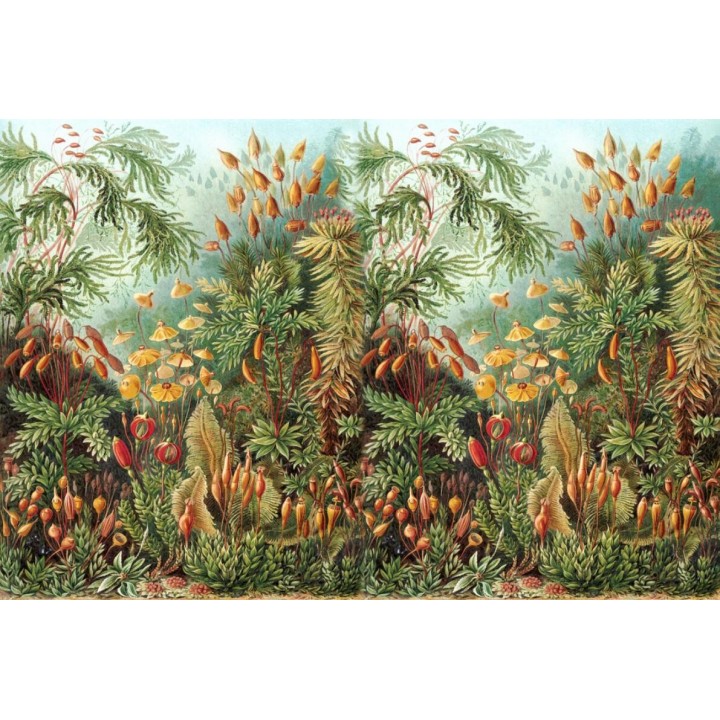 Décor végétal issu d'un tableau d'artiste - Sous bois au printemps