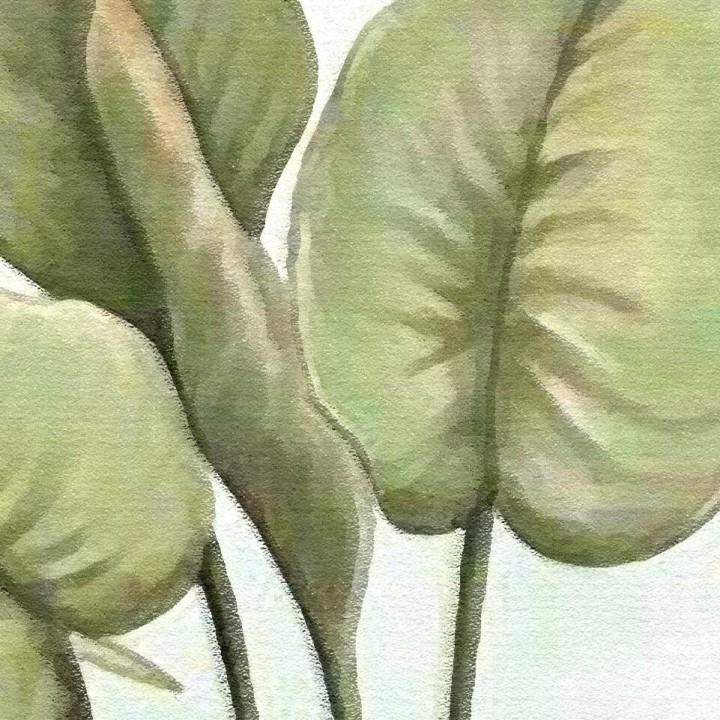 Papier peint tropical - Les oiseaux et les animaux sous le buisson