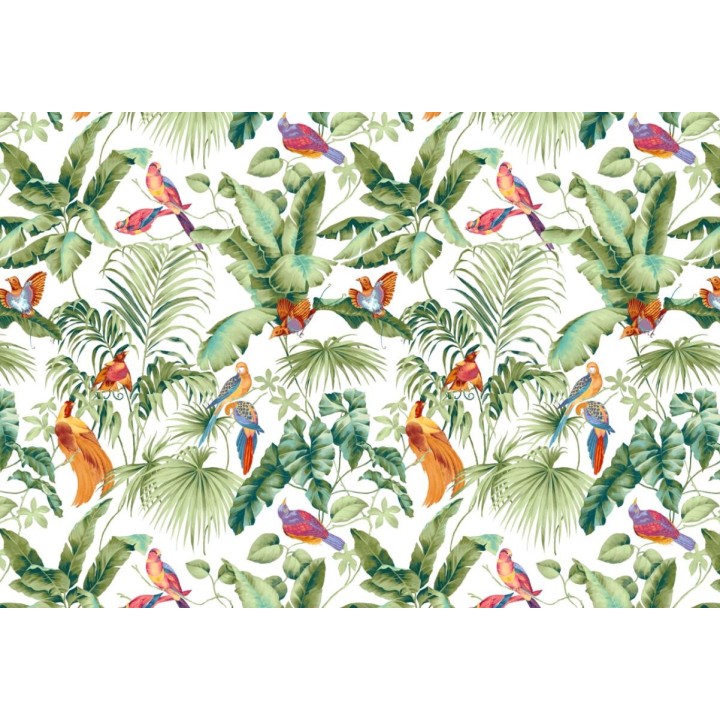 Tapisserie tropicale - Les oiseaux exotiques et les feuilles sur fond blanc