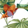Tapisserie tropicale - Les oiseaux exotiques et les feuilles sur fond blanc