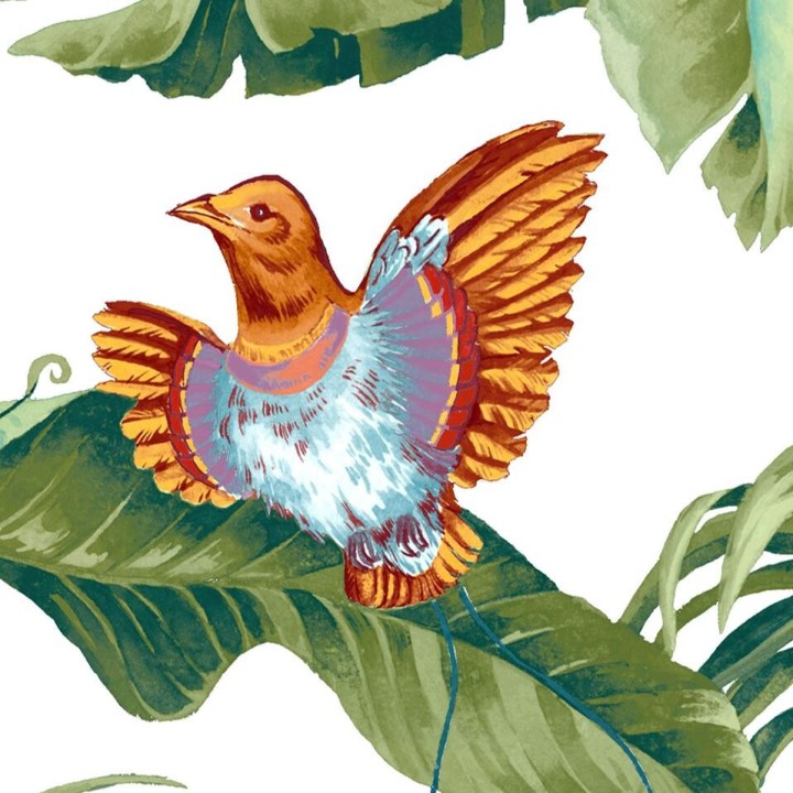 Tapisserie tropicale - Les oiseaux exotiques et les feuilles sur fond blanc