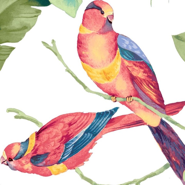 Tapisserie tropicale - Les oiseaux exotiques et les feuilles sur fond blanc