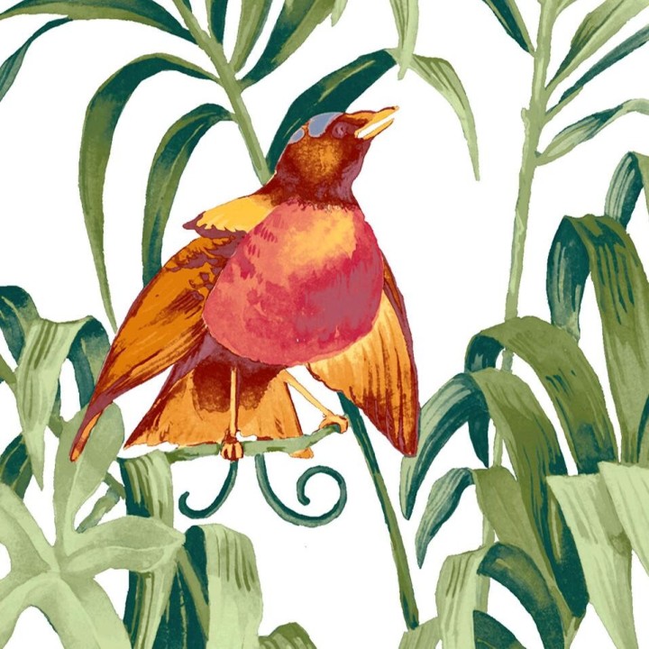 Tapisserie tropicale - Les oiseaux exotiques et les feuilles sur fond blanc