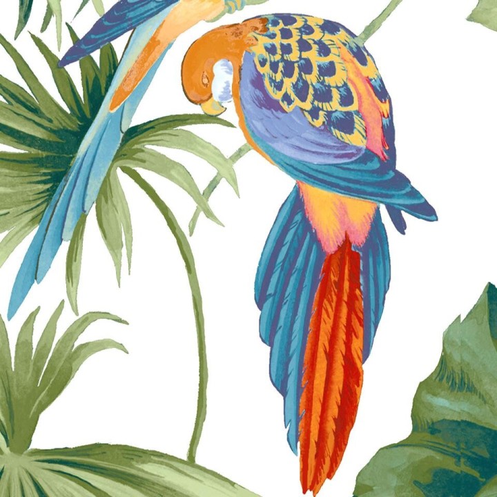 Tapisserie tropicale - Les oiseaux exotiques et les feuilles sur fond blanc