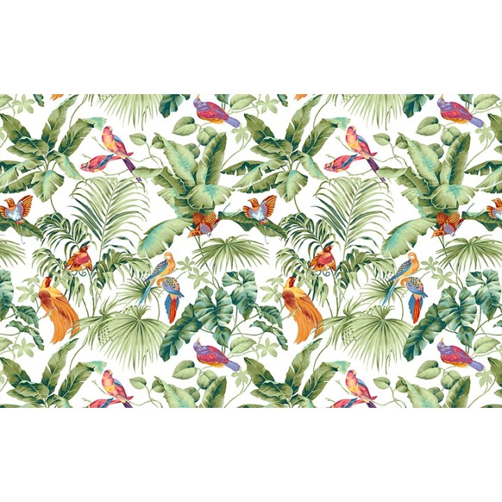 Salle de bain ambiance tropicale - Bananier, palmier et oiseaux exotiques sur fond blanc