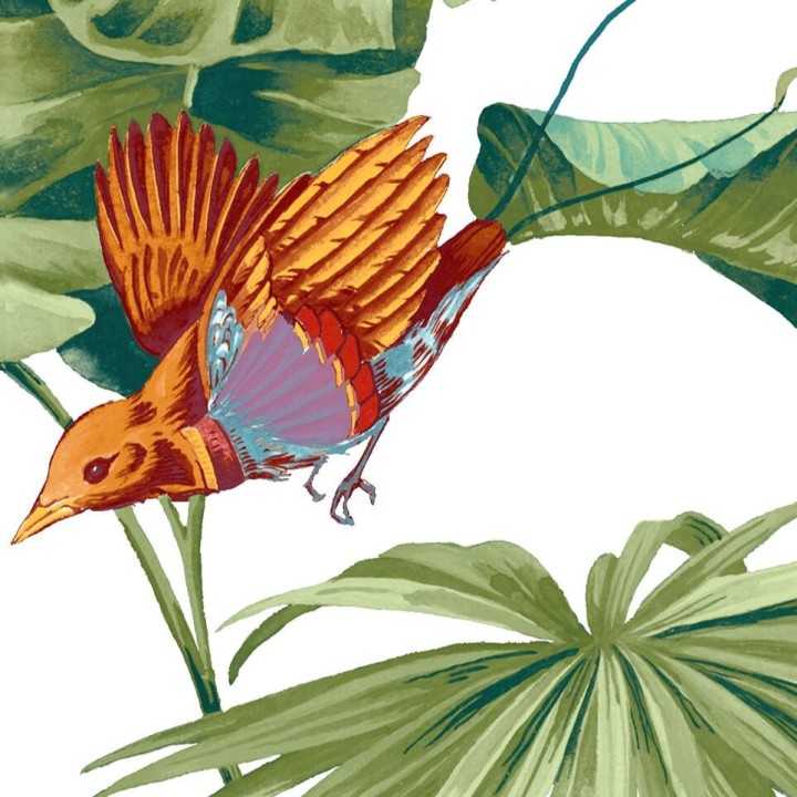 Salle de bain ambiance tropicale - Bananier, palmier et oiseaux exotiques sur fond blanc
