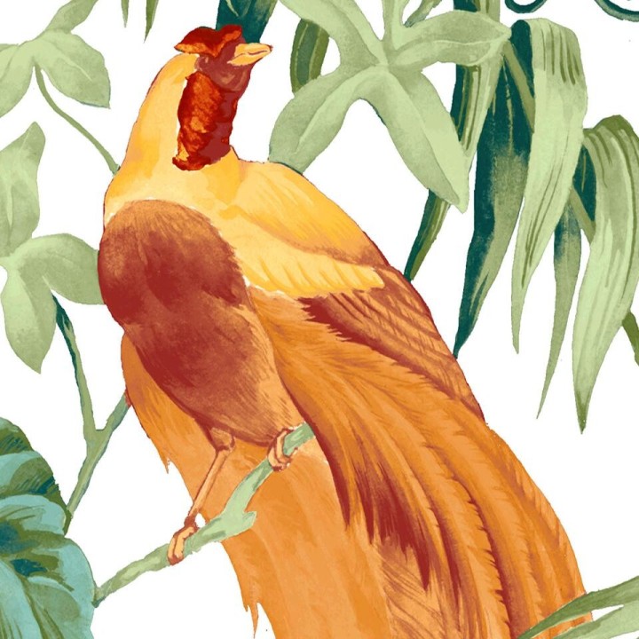 Salle de bain ambiance tropicale - Bananier, palmier et oiseaux exotiques sur fond blanc