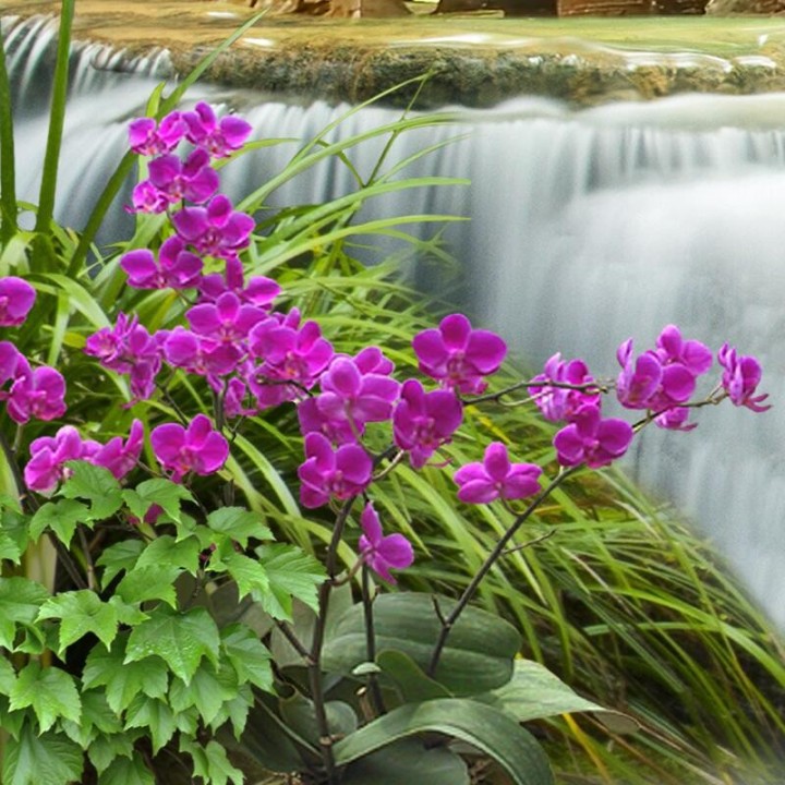 Papier peint photo 3D paysage tropical - Chute d'eau dans la forêt de cocotier