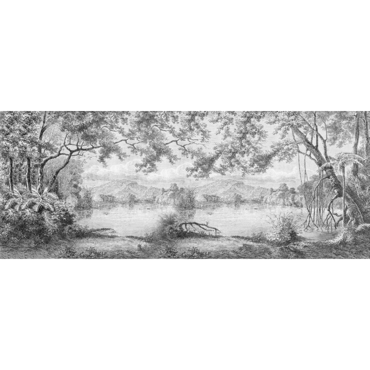 Paysage niveau de gris - Lac dans la forêt, effet grisaille