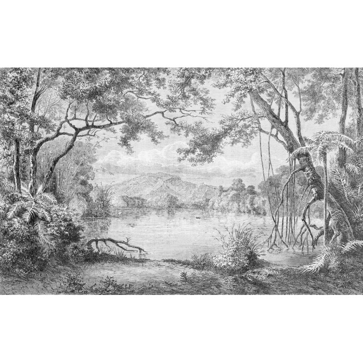Paysage niveau de gris - Lac dans la forêt, effet grisaille