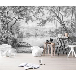 Paysage niveau de gris - Lac dans la forêt, effet grisaille