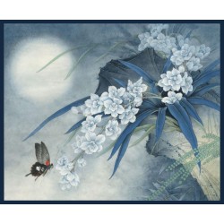 Tapis asiatique - Orchidée et papillon dans la nuit bleue, format rectangulaire