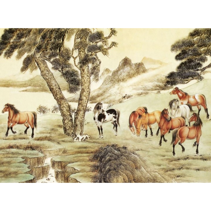 Tapis cheval aspect ancien