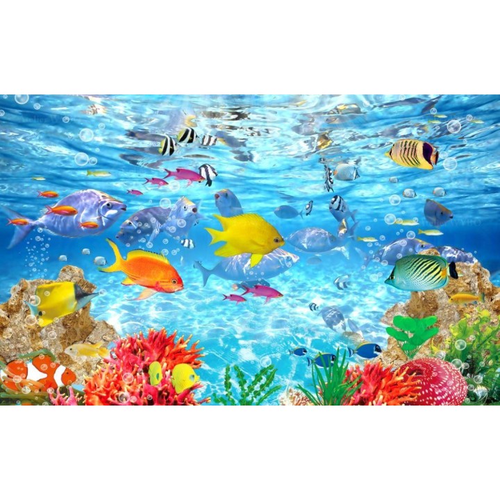 Cabine de douche effet aquarium - Les poissons tropicaux