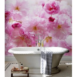 Fleurs de cerisier