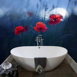 Coquelicot rouge dans la nuit, fond bleu foncé