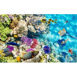 Cabine de douche colorée - Univers fond marin poissons et coraux tropicaux